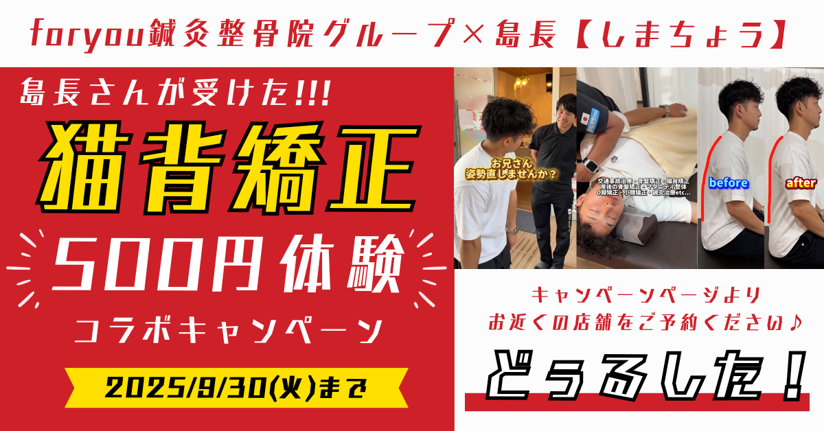 バナー (5).png